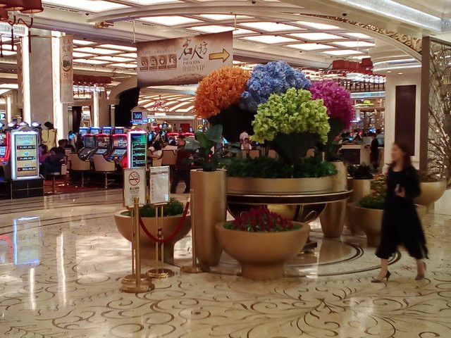 190903265-7672f0749cd9c82b36c870392bd2cb4f6e3b60b888753354123f2871c2fbd99f.jpeg