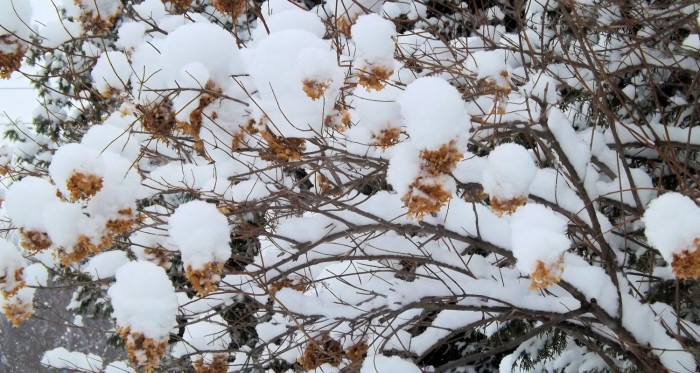 190903265-9d1f054b3aeb0c4d2bb821e1a82c2e31e4f2f91fd8775fdeda10903382ddfaa5.jpeg